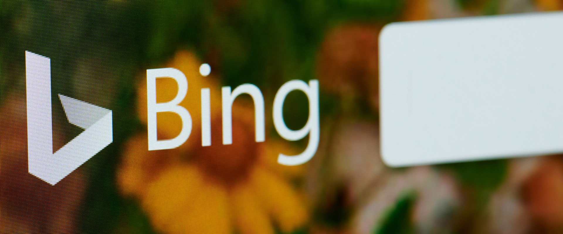 Targeting Bing's User Demographic for SEO: Optimizing Searches for a Better User Experience