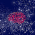 Unlocking the Power of Machine Learning Algorithms